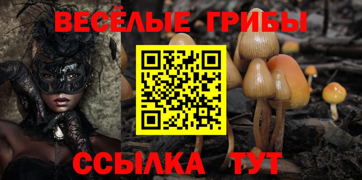 Псилоцибиновые грибы GOLDEN TEACHER  Вход с VPN  Белая Калитва 